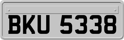 BKU5338