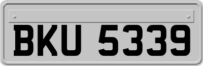 BKU5339