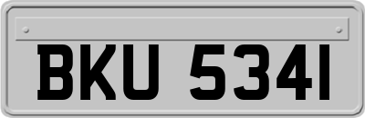 BKU5341