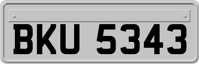 BKU5343