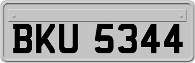 BKU5344