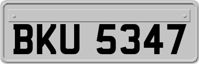 BKU5347