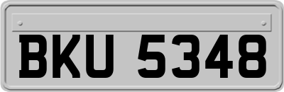 BKU5348