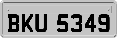 BKU5349