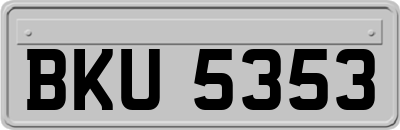BKU5353