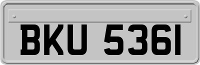 BKU5361
