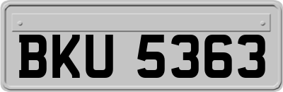 BKU5363