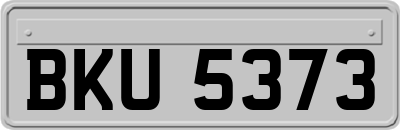 BKU5373