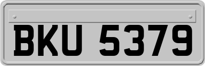 BKU5379