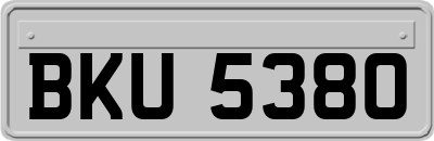 BKU5380