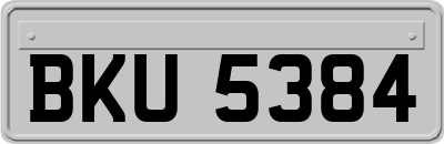 BKU5384
