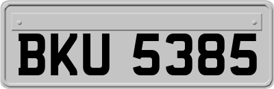 BKU5385