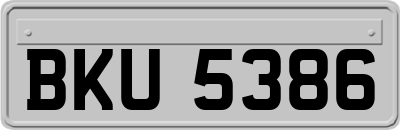 BKU5386
