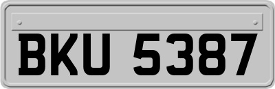 BKU5387