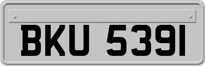 BKU5391