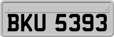 BKU5393