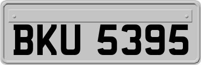 BKU5395
