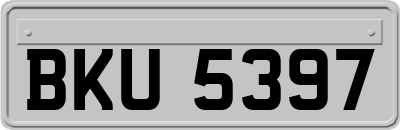 BKU5397