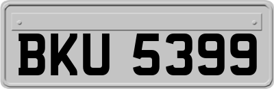 BKU5399
