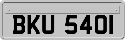 BKU5401
