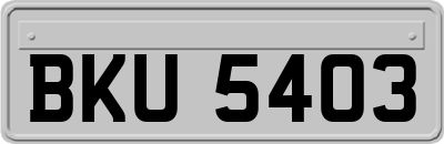BKU5403