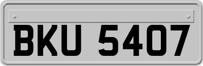 BKU5407