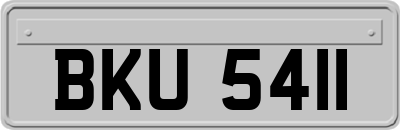 BKU5411