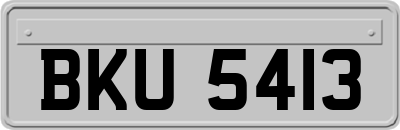 BKU5413