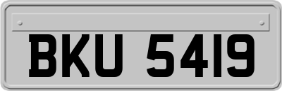 BKU5419