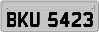 BKU5423