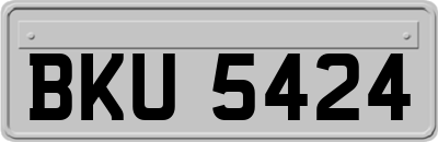BKU5424