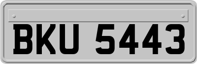 BKU5443