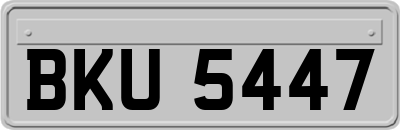 BKU5447