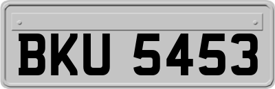 BKU5453