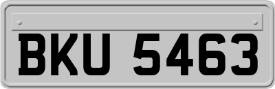 BKU5463