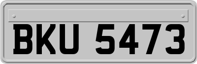 BKU5473