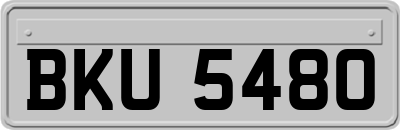 BKU5480
