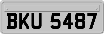 BKU5487