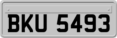 BKU5493