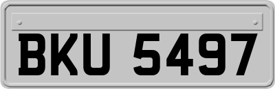 BKU5497
