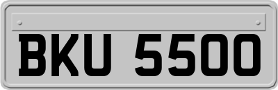 BKU5500