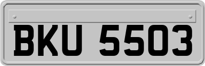 BKU5503