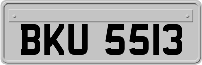 BKU5513