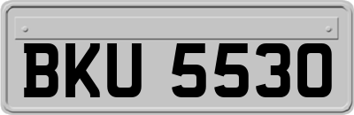 BKU5530