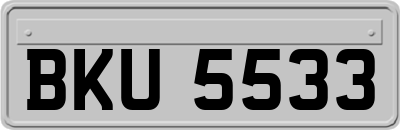 BKU5533