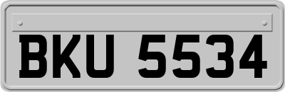 BKU5534