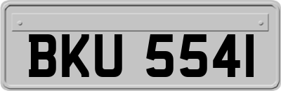 BKU5541