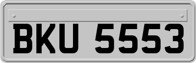 BKU5553