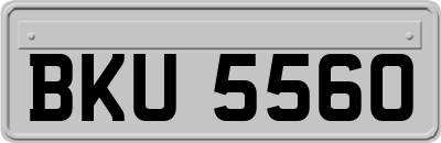 BKU5560