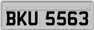 BKU5563